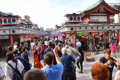 DSC_3454 (Large).JPG